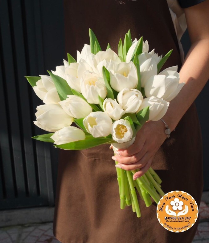 Bó Hoa Tulip Trắng Tinh Khôi